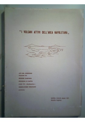 I  VULCANI ATTIVI DELL'AREA NAPOLETANA
