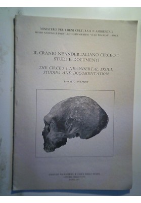 IL CRANIO NEANDERTALIANO CIRCEO I STUDI E DOCUMENTI ESTRATTO
