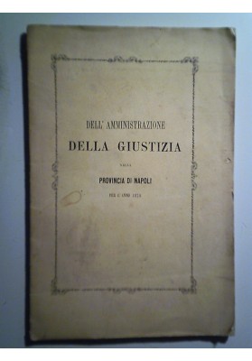 DELL' AMMINISTRAZIONE DELLA GIUSTIZIA NELLA PROVINCIA DI NAPOLI PER L'ANNO  1873 RELAZIONE