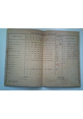 "CITTA' DI NOVARA Civiche Scuole Elementari Anno Scolastico 1903 - 1904"