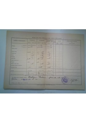 "REGIO ISTITUTO MAGISTRALE NOVARA PAGELLA 1936"