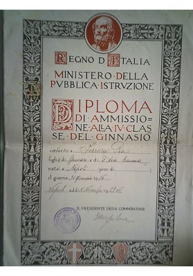 REGNO D'ITALIA MINISTERO DELLA PUBBLICA ISTRUZIONE  DIPLOMA DI AMMISSIONE AL GINNASIO Napoli 1929