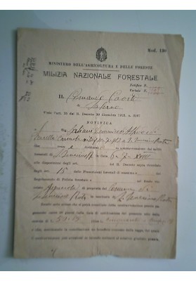 MILIZIA NAZIONALE FORESTALE Verbale  1941