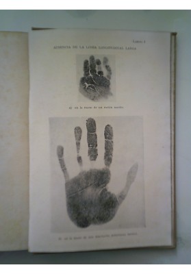 LA MANO Y SU LENGUAJE