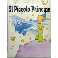 IL PICCOLO PRINCIPE