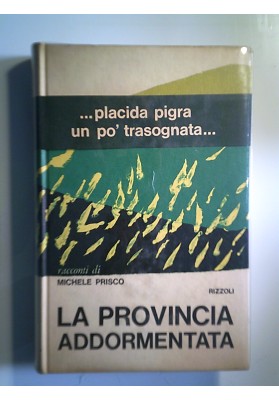 LA PROVINCIA ADDORMENTATA