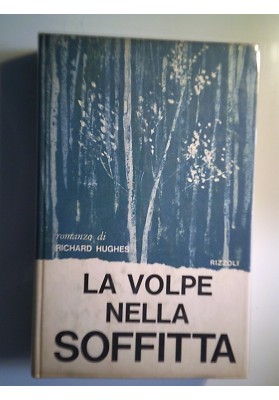 LA VOLPE NELLA SOFFITTA