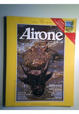 AIRONE 144  APRILE 1993