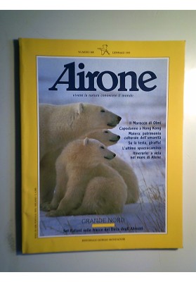 AIRONE 165 GENNAIO 1995