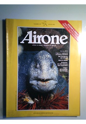 AIRONE 135 LUGLIO 1992