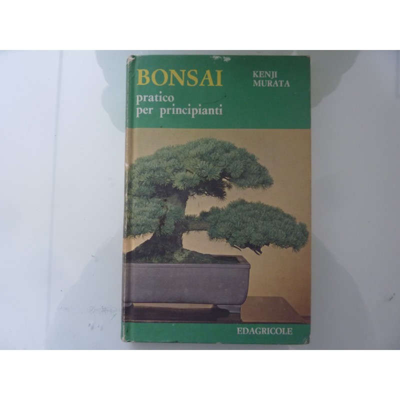 BONSAI Pratico per principianti