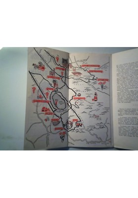 GIRO  TURISTICO DEI CASTELLI ROMANI