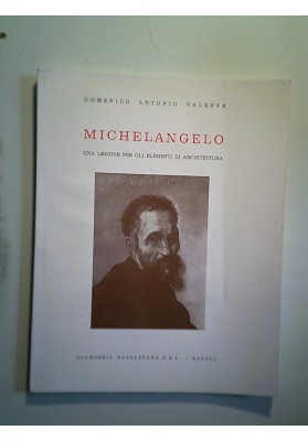 MICHELANGELO UNA LEZIONE PER GLI ELEMENTI DI ARCHITETTURA