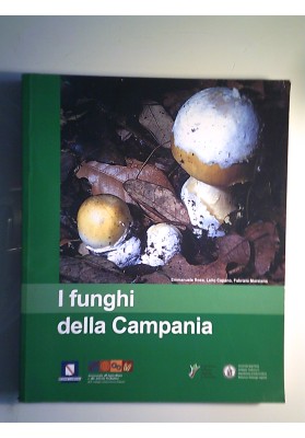 I FUNGHI DELLA CAMPANIA