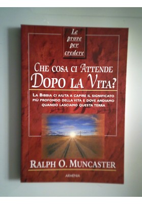CHE COSA CI ATTENDE DOPO LA VITA ?