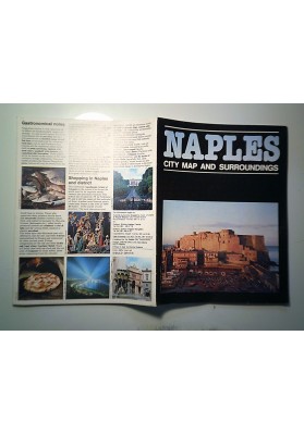 NAPLES CITY MAPS AND SURROUNDINGS