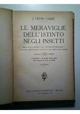 LE MERAVIGLIE DELL' ISTINTO DEGLI INSETTI