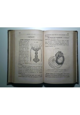 ELEMENTI DI STORIA NATURALE GENERALE ZOOLOGIA - BOTANICA