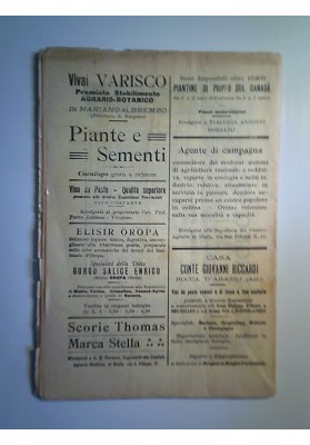L'AGRICOLTURA Bollettino ufficiale del COMIZIO AGRARIO BIELLESE Anno XLVIII Fasc. 5 Biella 5 Marzo 1913
