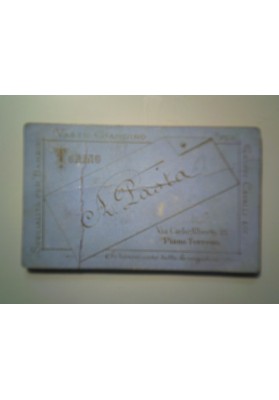 Albumina CDV "RITRATTO DI DONNA"  Fotografia A. Pasta, Torino 1880 circa