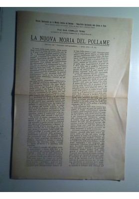 LA NUOVA MORIA DEL POLLAME