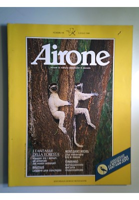 AIRONE 99 LUGLIO 1989