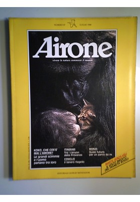 AIRONE 87 LUGLIO 1988