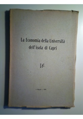 La Economia della Università dell'isola di Capri