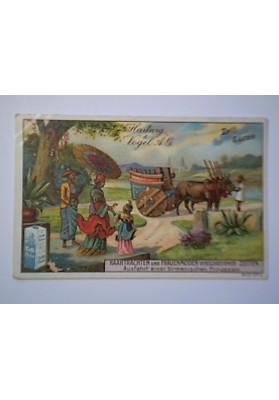 Figurina Pubblicitaria "TELL- CACAO HARTWIG & WOGEL DRESDEN  Birmanischen Prinzessin"