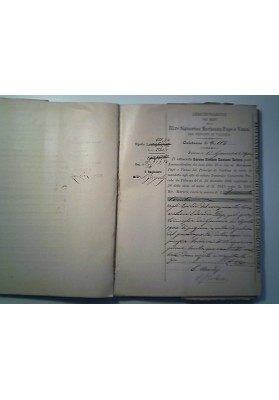 Amministrazione dei Beni della Illustre Signorina Marianna Paph e Vanni dei Principi di Valdina, Quietanze Anni 1899 - 1900