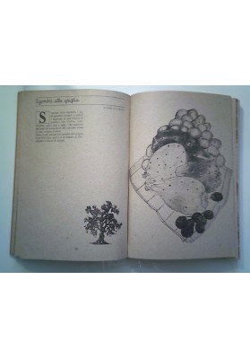 Le Ricette delle Terre dell'Olio