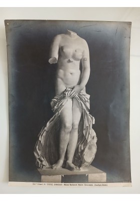 Fotografia "Fratelli ALINARI SIRACUSA Museo Nazionale, Venere Siracusana" 1924