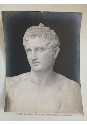 Fotografia "ALINARI ROMA MUSEI VATICANI TESTA ATLETA APOXYOMENOS" 1924
