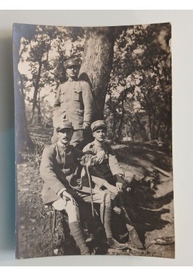 Diario Fotografico Fronte del Friuli ( 1915 - 1918 ) Sott. Carlo Tosi