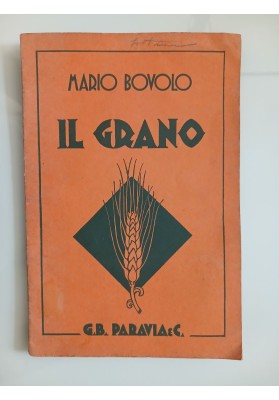 IL GRANO