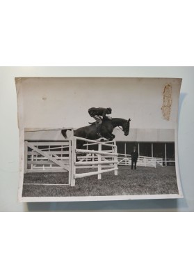 Salto ad ostacoli di un cavallo con paraocchi allo Yorkshire Agricultural Show di Hull