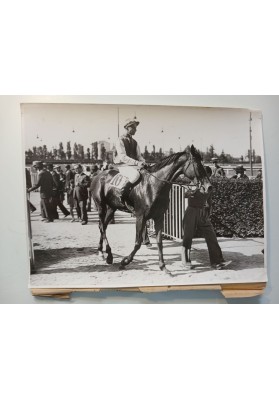 FOTO EPOCA Fantino Cavallo n.10 Tondino Ippodromo San Siro Milano Agenzia ARGO
