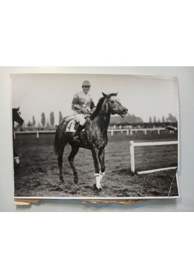 FOTO EPOCA Fantino Cavallo n.4 Ippodromo San Siro Milano Agenzia ARGO