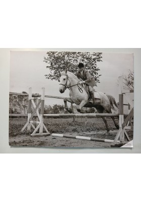 FOTO EPOCA Concorso Ippico Salto Ostacoli Cavallo Grigio Studio Padovan Torino