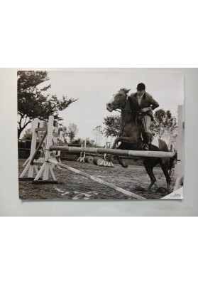 FOTO EPOCA Concorso Ippico Salto Ostacoli Azione Cavallo Studio Padovan Torino