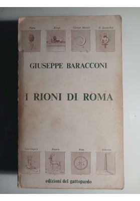 I RIONI DI ROMA