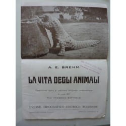 LA VITA DEGLI ANIMALI - UNIONE TIPOGRAFICO EDITRICE TORINESE
