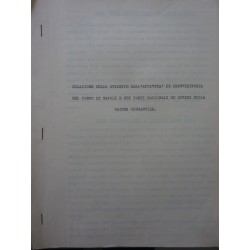 RELAZIONE  SULLO SVILUPPO DELL'ATTIVTA' DI PROVVEDITORIA NEL PORTO DI NAPOLI E NEI PORTI NAZIONALI ED ESTERI DELLA MARINA MERCAN