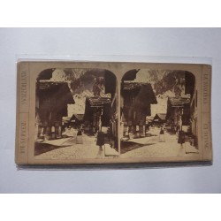 Fotografia stereoscopica "SVIZZERA N.° 49 A Unterseen" Inizi '900