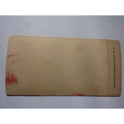 Fotografia stereoscopica "SVIZZERA N.° 52 Chute superieure du Giessbach"