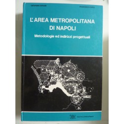 L 'AREA METROPOLITANA DI NAPOLI Metodologie ed indirizzi progettuali