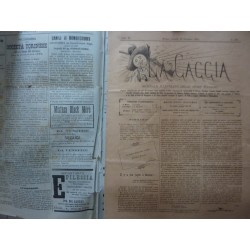 LA CACCIA Giornale illustrato dello Sport Italiano Anno IX Numero  IX  Milano, 25 Dicembre 1884 n.° 320