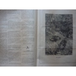 LA CACCIA Giornale illustrato dello Sport Italiano Anno X Numero 327  Milano, 12 Febbraio 1885