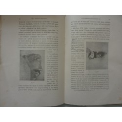 ARCHIVIO DI OFTALMOLOGIA Periodico Mensile Marzo - Giugno 1906