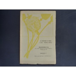 SUL SINERGISMO DEI FARMACI E SULLE "SINERGINE MARFORI" . RACCOLTA DEI LAVORI PUBBLICATI IN ITALIA DURANTE IL TRIENNIO 1927 - 29,